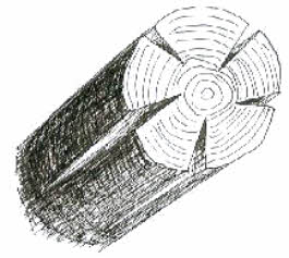 drawing of how the end of a log can split if it is allowed to dry before sawing into boards